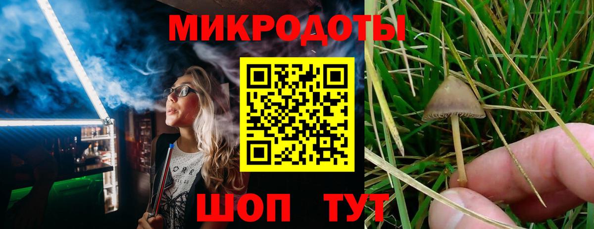 Псилоцибиновые грибы прущие грибы  Галлюциногенные грибы GOLDEN TEACHER  Верхняя Салда  даркнет сайт  Вход с VPN 